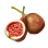 Fig