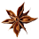 Star Anise