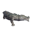 Taxidermied Crocodile