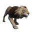 Taxidermied Lion