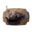 Anglerfish Trophy