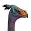 Ostrich