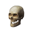 Sorcerer's Skull