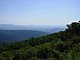 Photo Blueridge Mountains Virginia Smokey Smokies 17.jpg