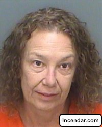 Woman Charged In Chinese Food Battery On Beau Wanton attack occurred at Florida mobile home park